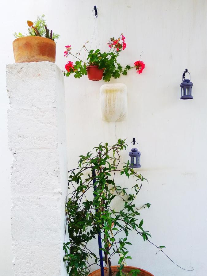 Masseria Delle Rose 1760 Алессано Экстерьер фото