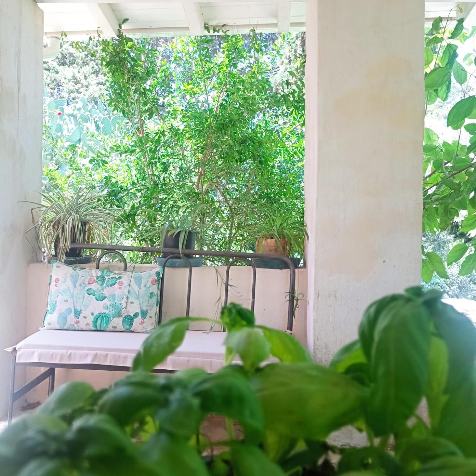Masseria Delle Rose 1760 Алессано Номер фото